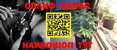прущая мука Владимир